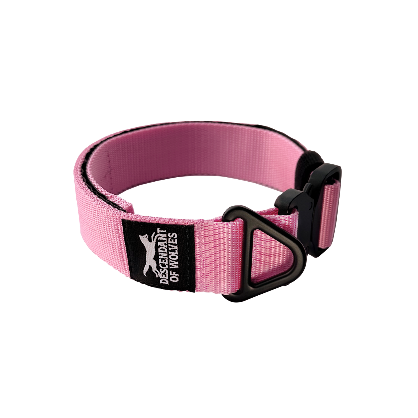 Companion tactical guard dog collar 38mm durable NZ gear