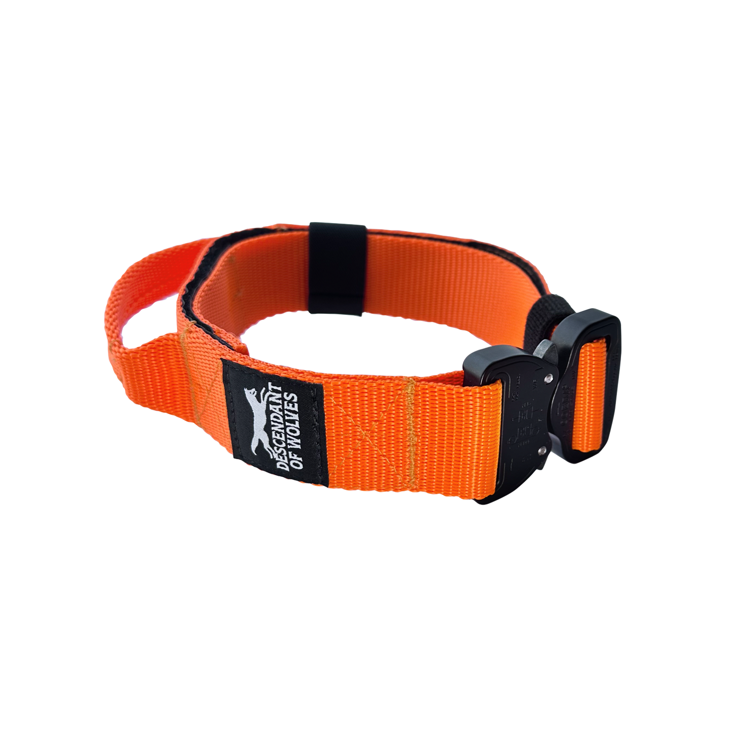 38mm pursuit tactical dog collar NZ-made for working dogs