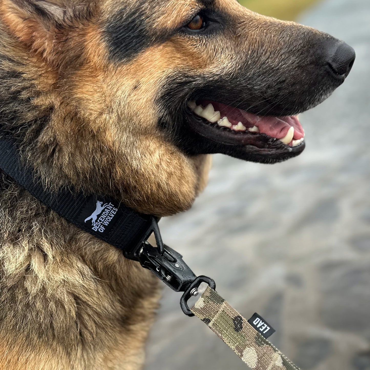 WORKING LINE TACTICAL 'ADVENTURE' LEAD | 25MM