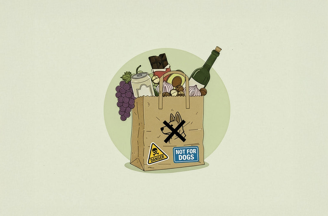 FEED THE BEAST PT. I: FOODS THAT ARE BAD FOR DOGS