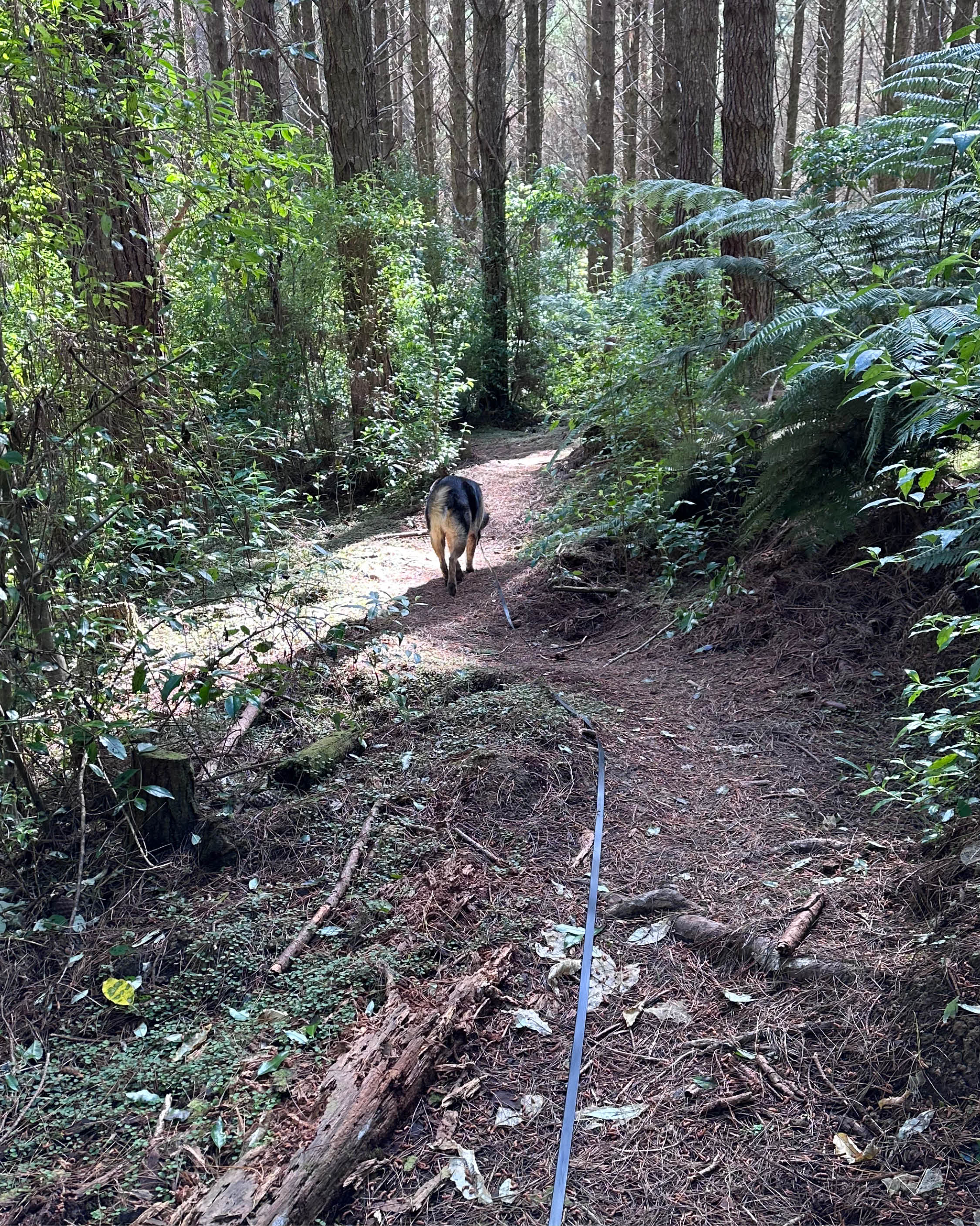 Adventure Essentials