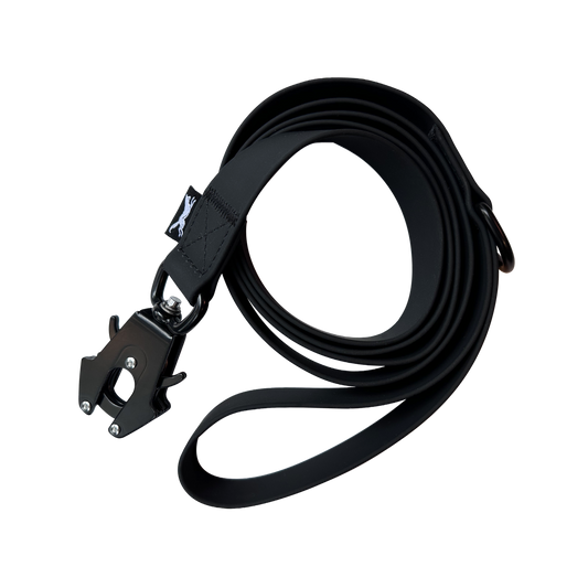 Standard PVC Lead