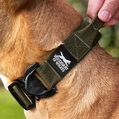 Companion line tactical control collar 38mm durable dog gear