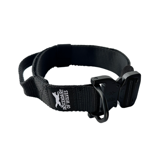 COMPANION LINE TACTICAL 'CONTROL' COLLAR | 38MM