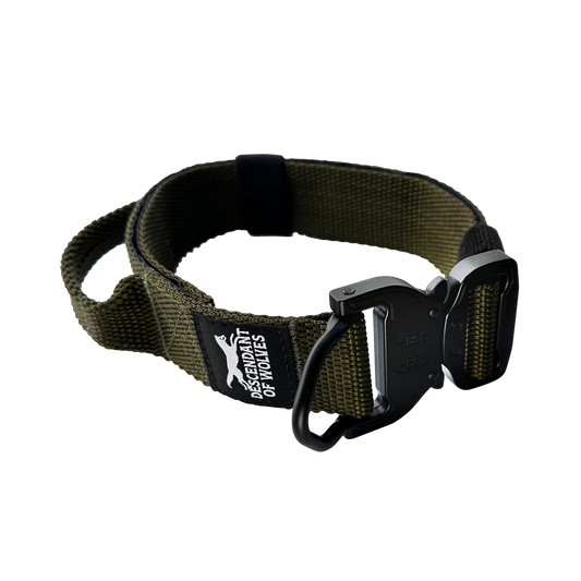 Companion line tactical control collar 38mm durable dog gear