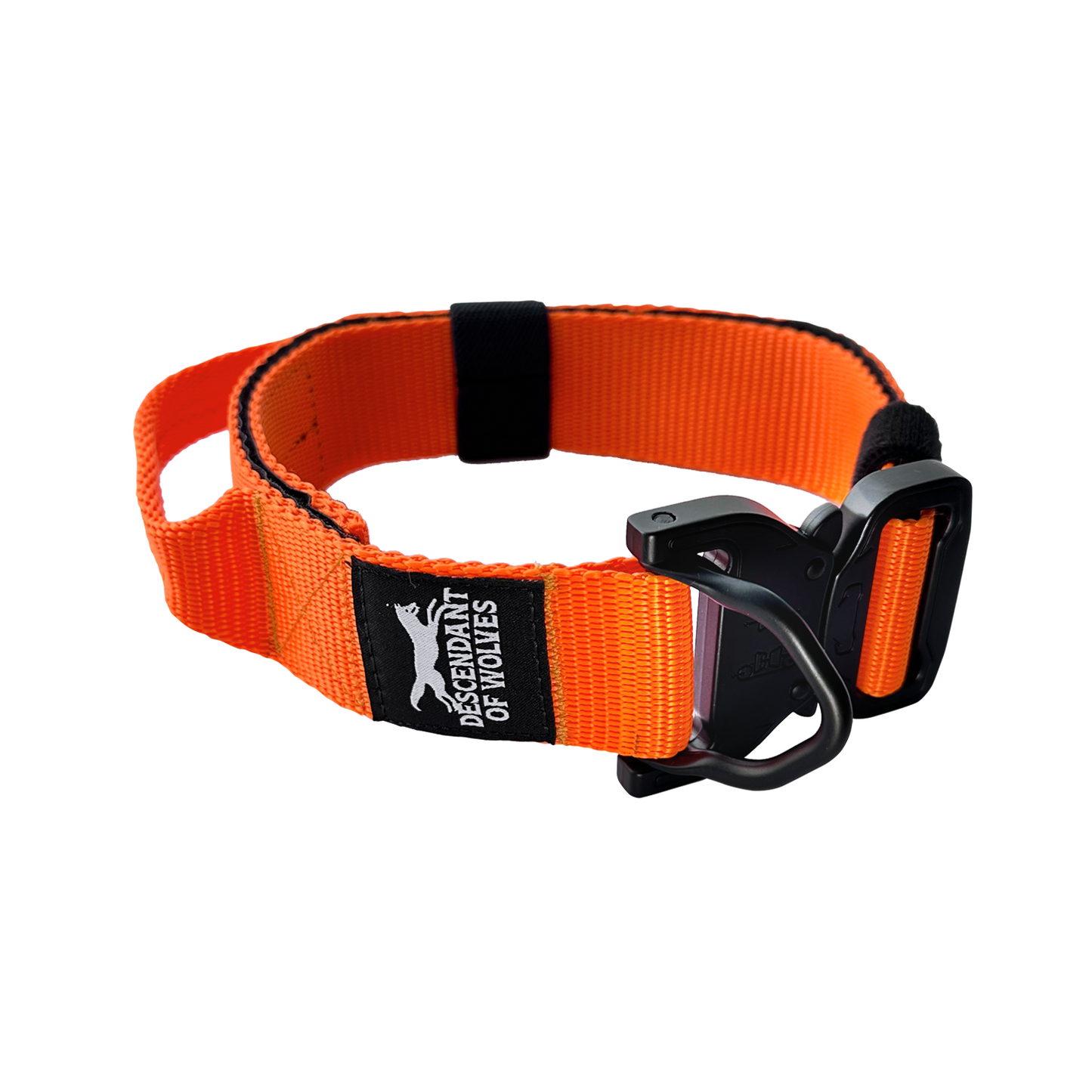 Companion line tactical control collar 38mm durable dog gear