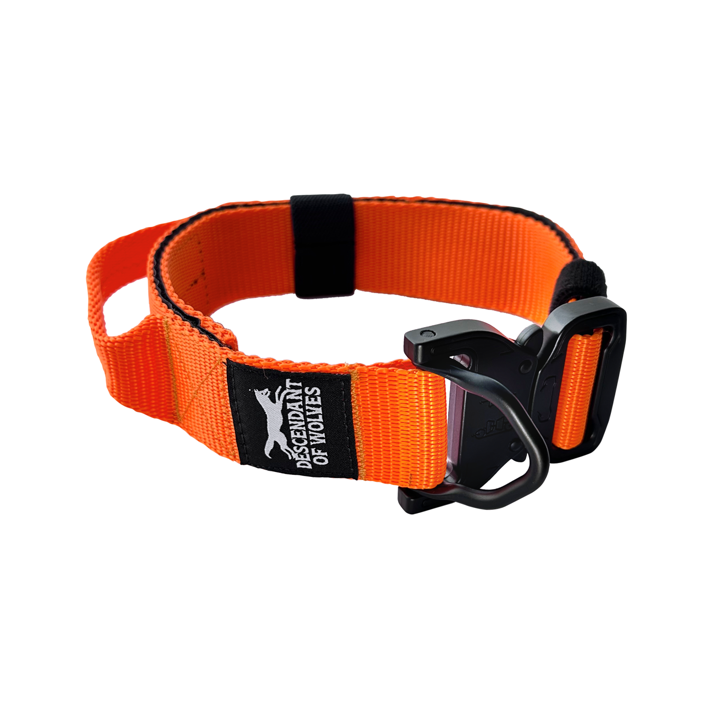 Companion line tactical control collar 38mm durable dog gear