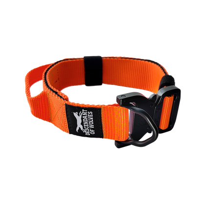 Companion line tactical control collar 38mm durable dog gear