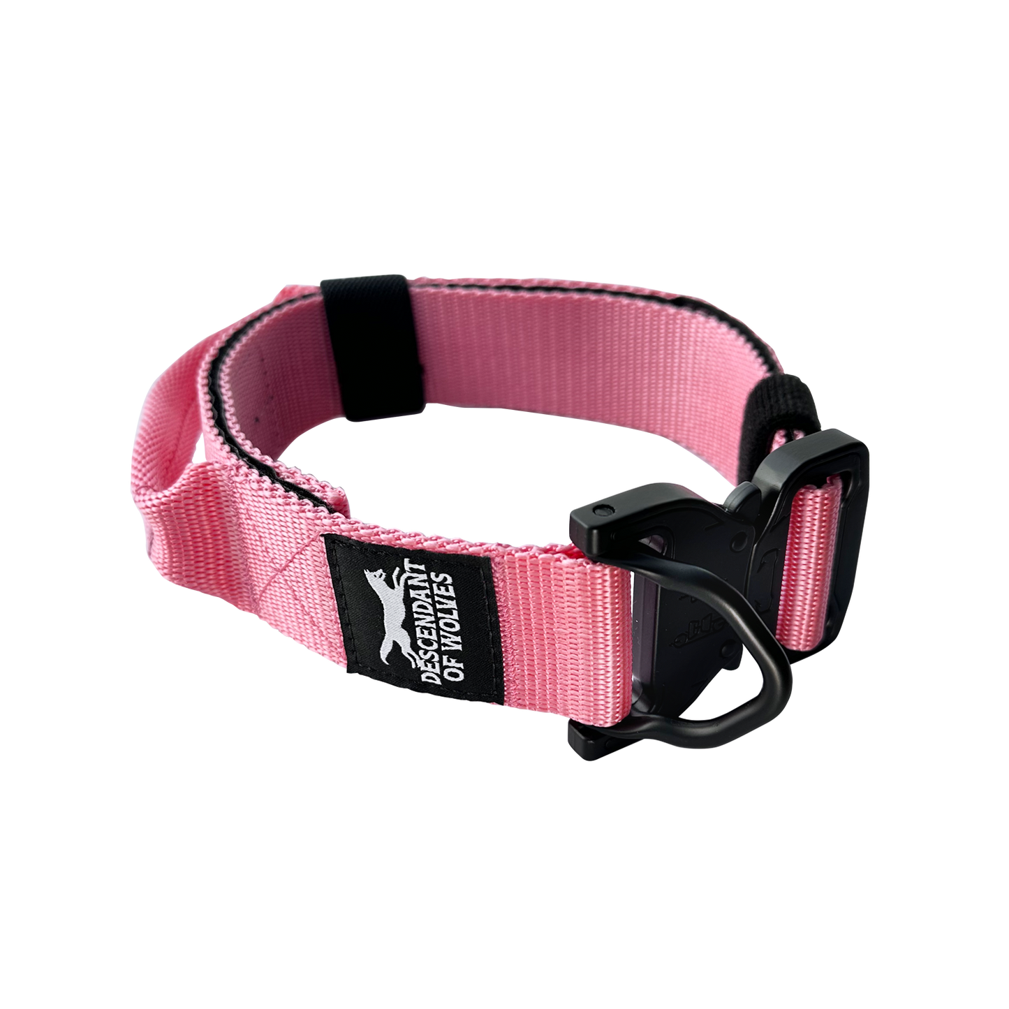 Companion line tactical control collar 38mm durable dog gear