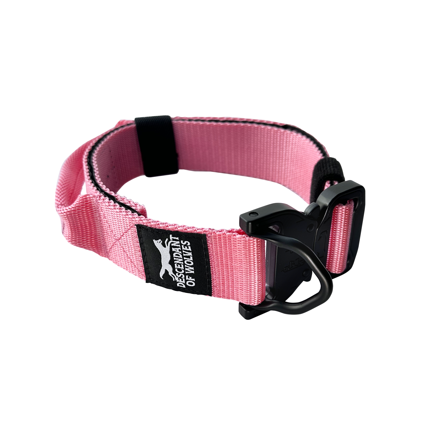 Companion line tactical control collar 38mm durable dog gear