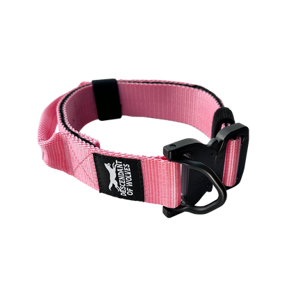 Companion line tactical control collar 38mm durable dog gear