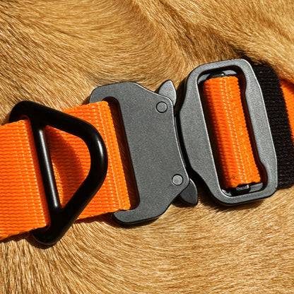 Companion tactical guard dog collar 38mm durable NZ gear