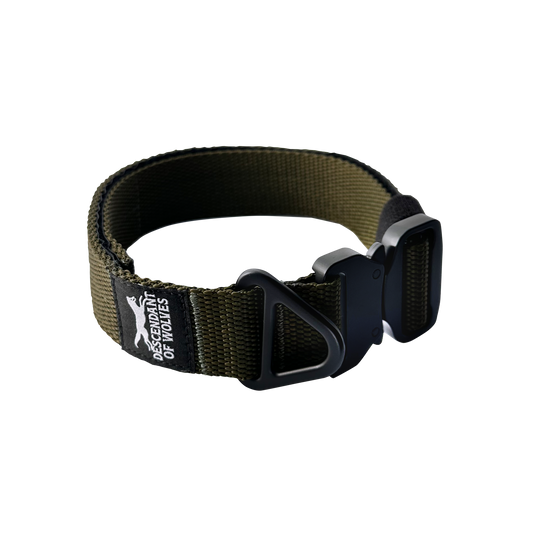 Companion tactical guard dog collar 38mm durable NZ gear