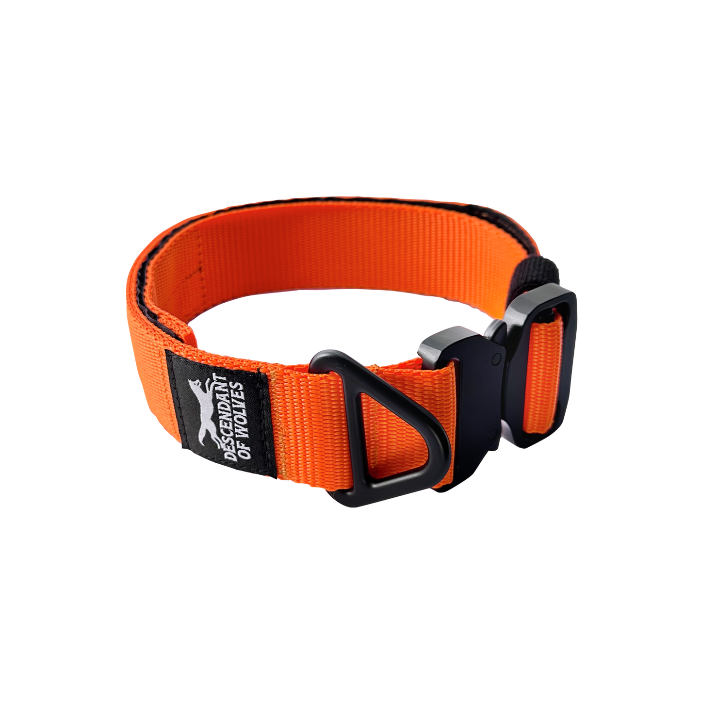 Companion tactical guard dog collar 38mm durable NZ gear