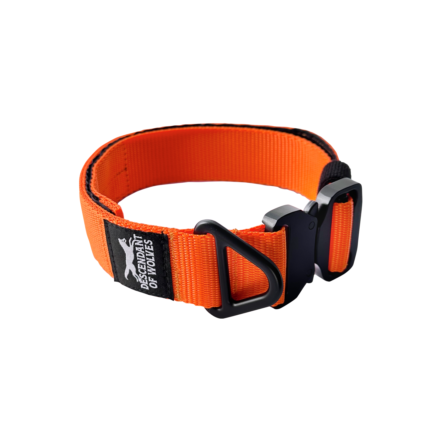 Companion tactical guard dog collar 38mm durable NZ gear