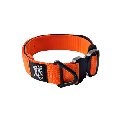 Companion tactical guard dog collar 38mm durable NZ gear