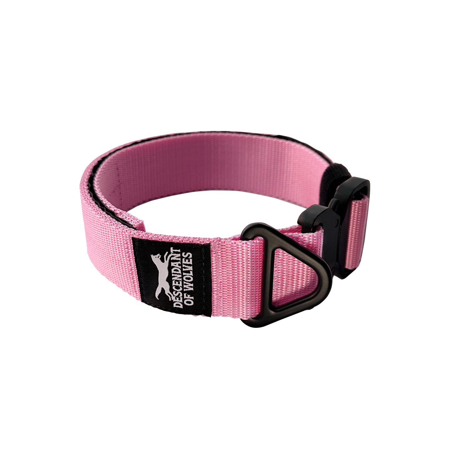Companion tactical guard dog collar 38mm durable NZ gear
