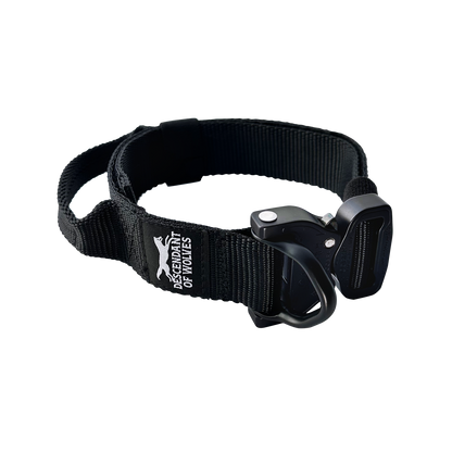 German Shepherd wearing 38mm tactical control dog collar NZ