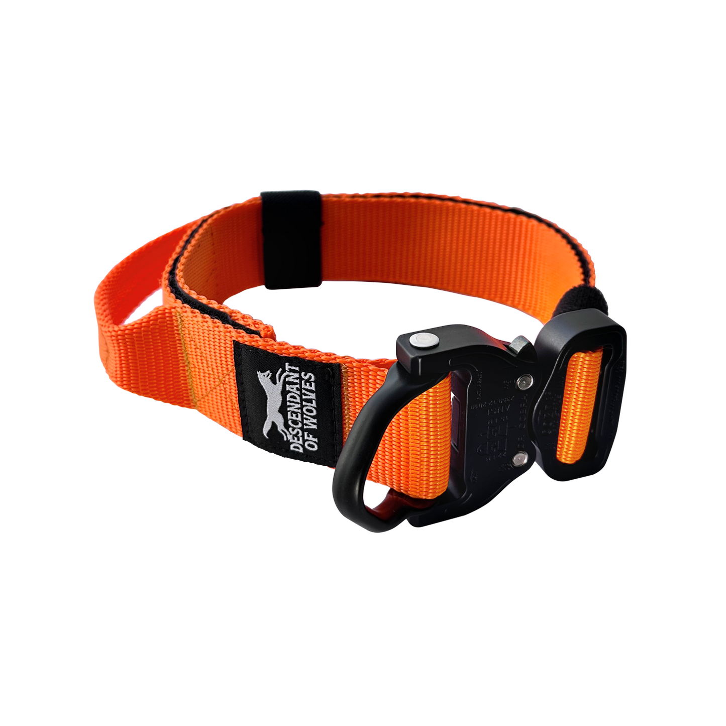German Shepherd wearing 38mm tactical control dog collar NZ