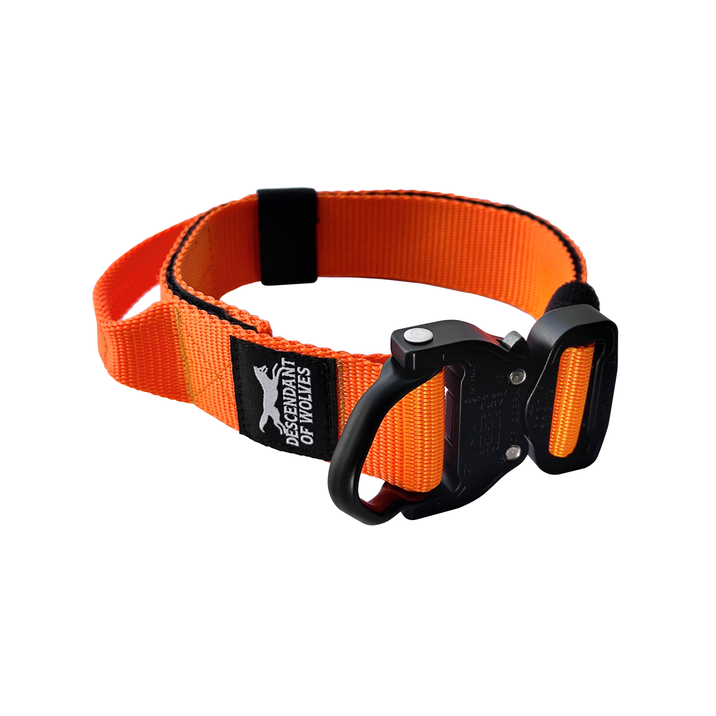 German Shepherd wearing 38mm tactical control dog collar NZ