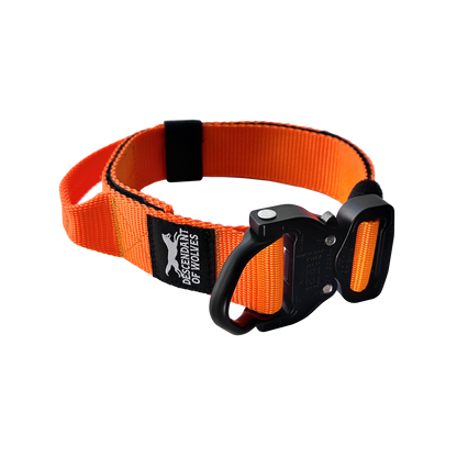 German Shepherd wearing 38mm tactical control dog collar NZ