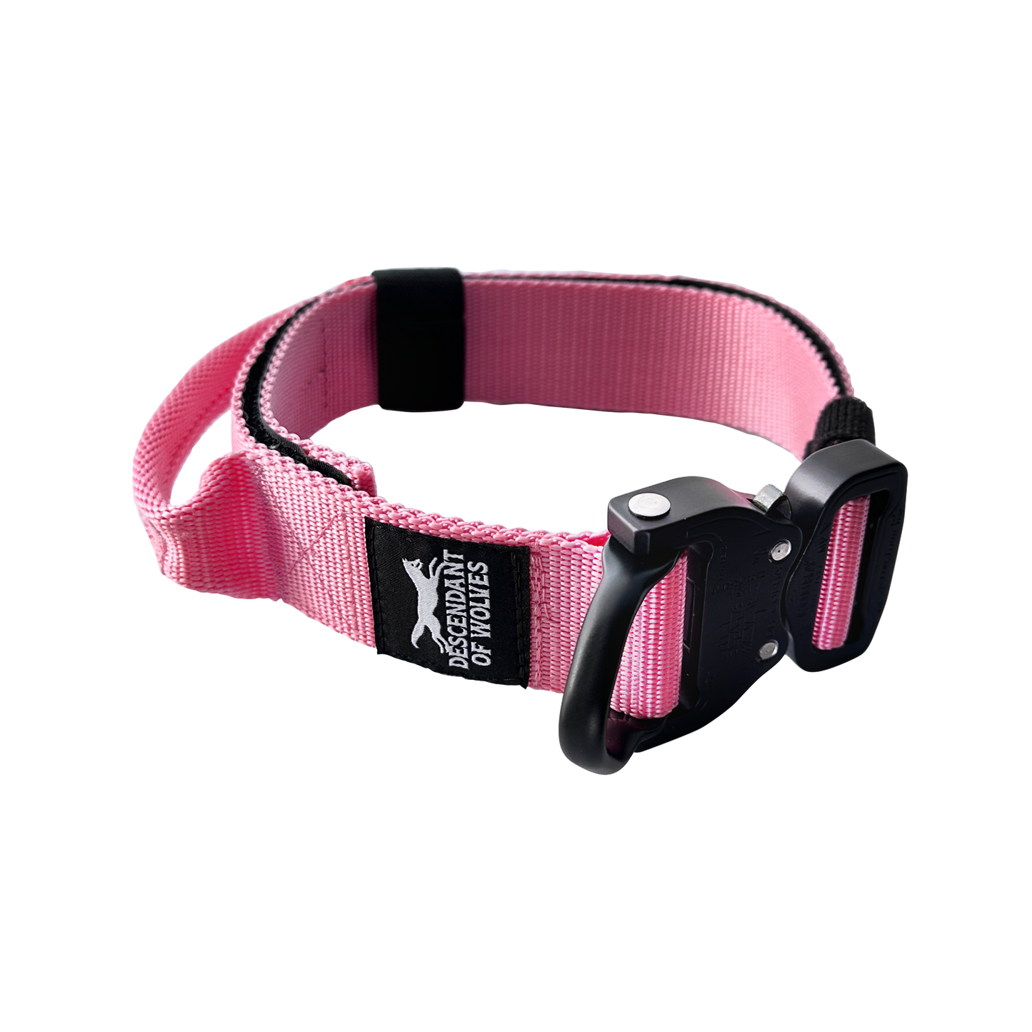 German Shepherd wearing 38mm tactical control dog collar NZ