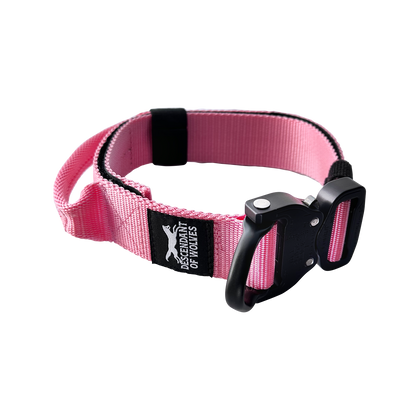 German Shepherd wearing 38mm tactical control dog collar NZ