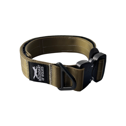 German Shepherd tactical guard collar 38mm working line NZ