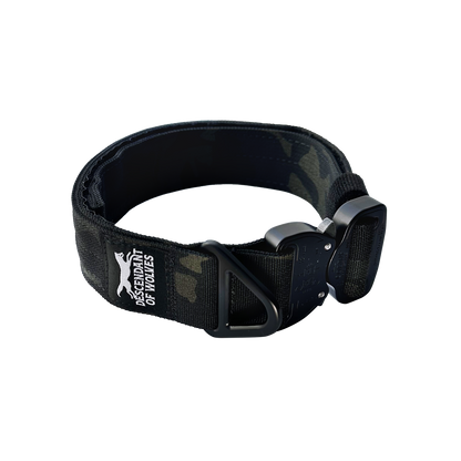 German Shepherd tactical guard collar 38mm working line NZ