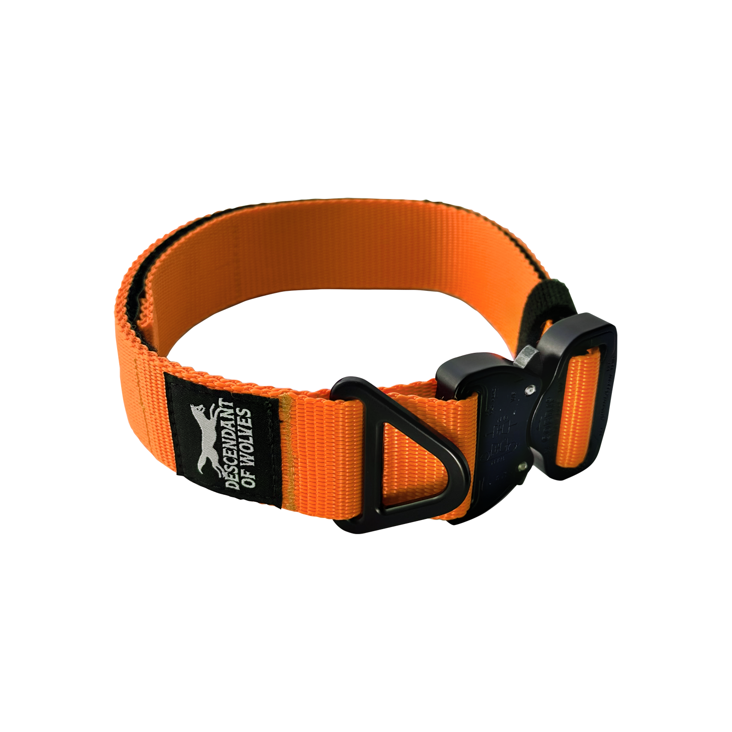 German Shepherd tactical guard collar 38mm working line NZ