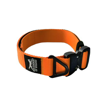 German Shepherd tactical guard collar 38mm working line NZ