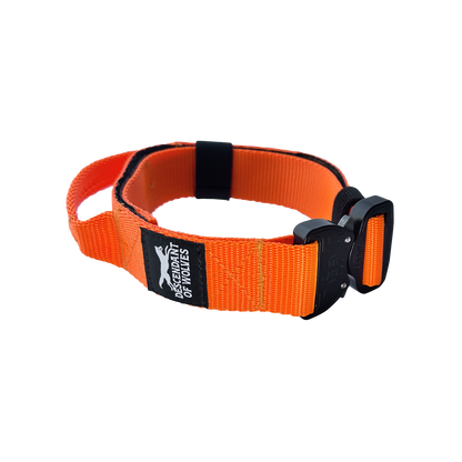 38mm pursuit tactical dog collar NZ-made for working dogs