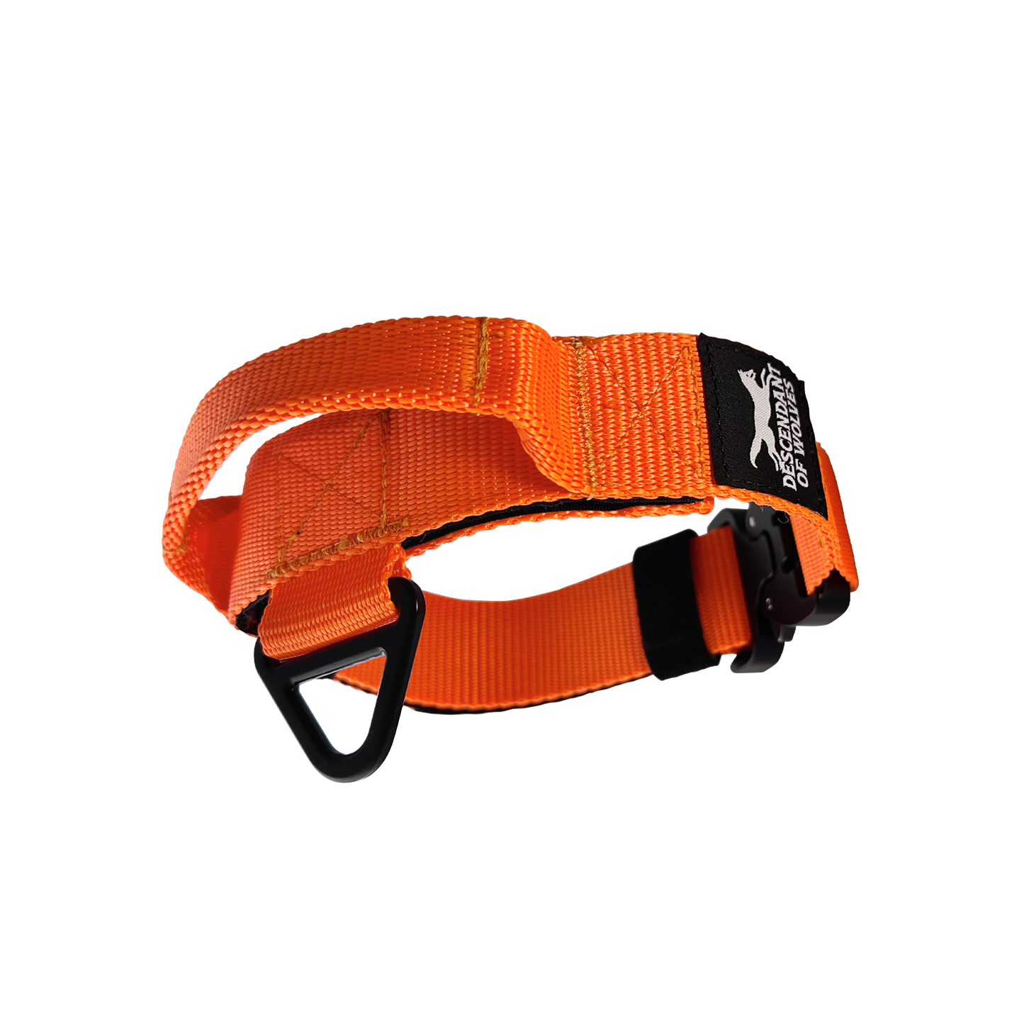 38mm pursuit tactical dog collar NZ-made for working dogs