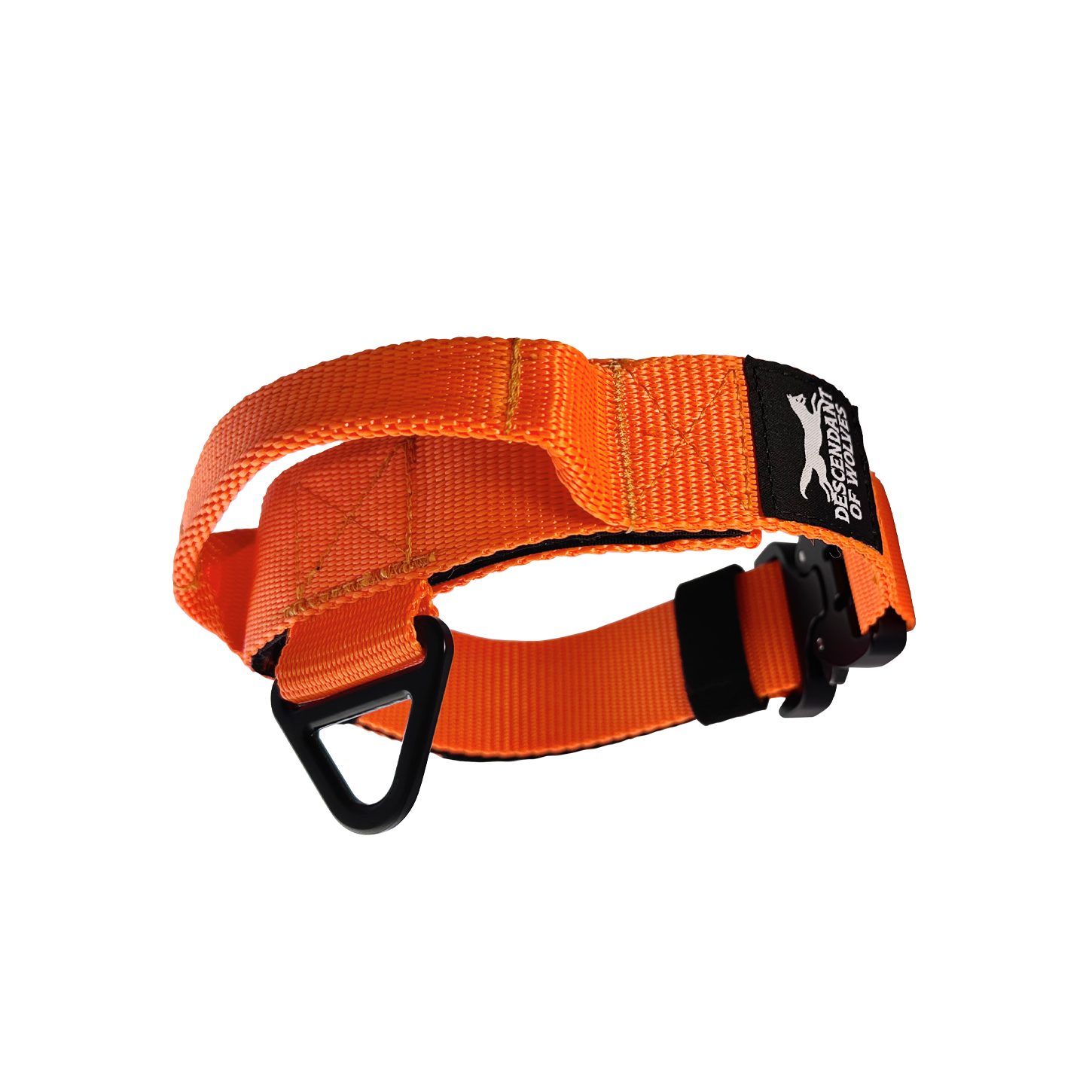 38mm pursuit tactical dog collar NZ-made for working dogs