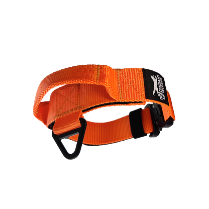 38mm pursuit tactical dog collar NZ-made for working dogs