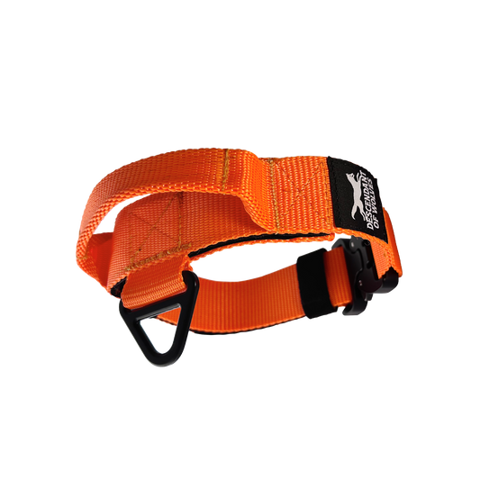 WORKING LINE TACTICAL 'PURSUIT' COLLAR | 38MM