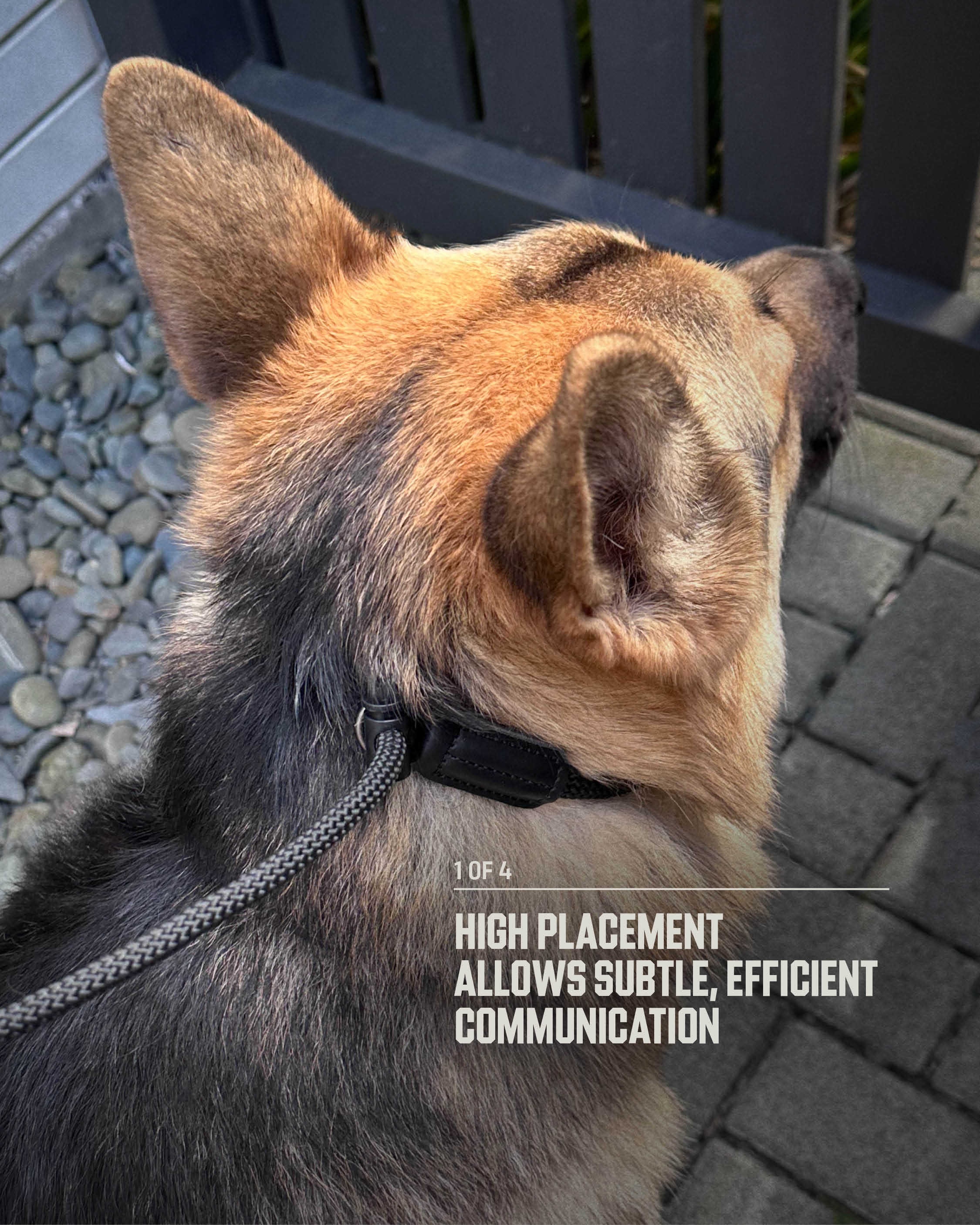 8MM Slip Lead **PRESALE**