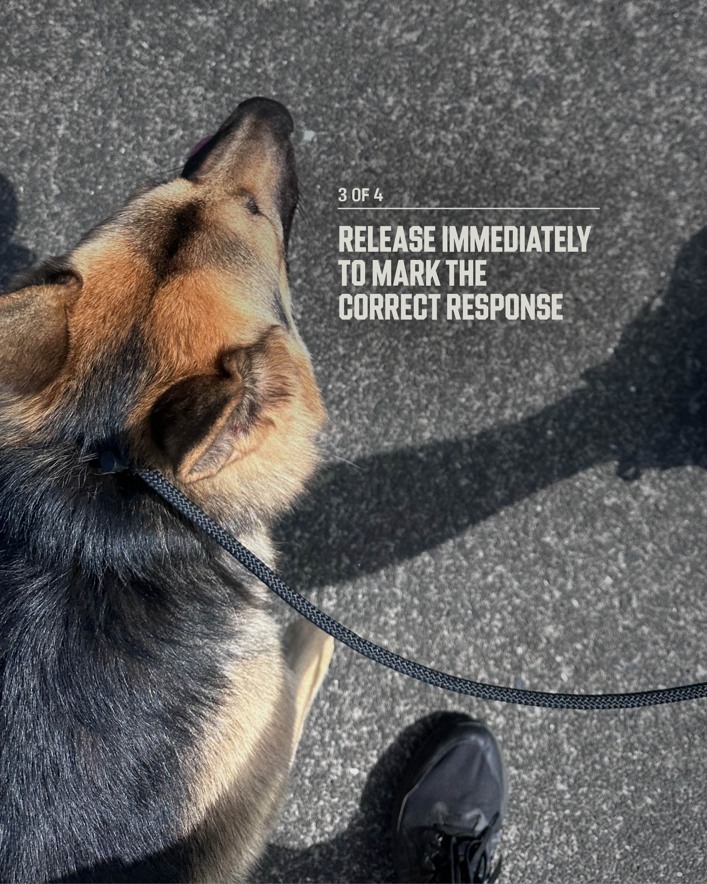 8MM Slip Lead **PRESALE**