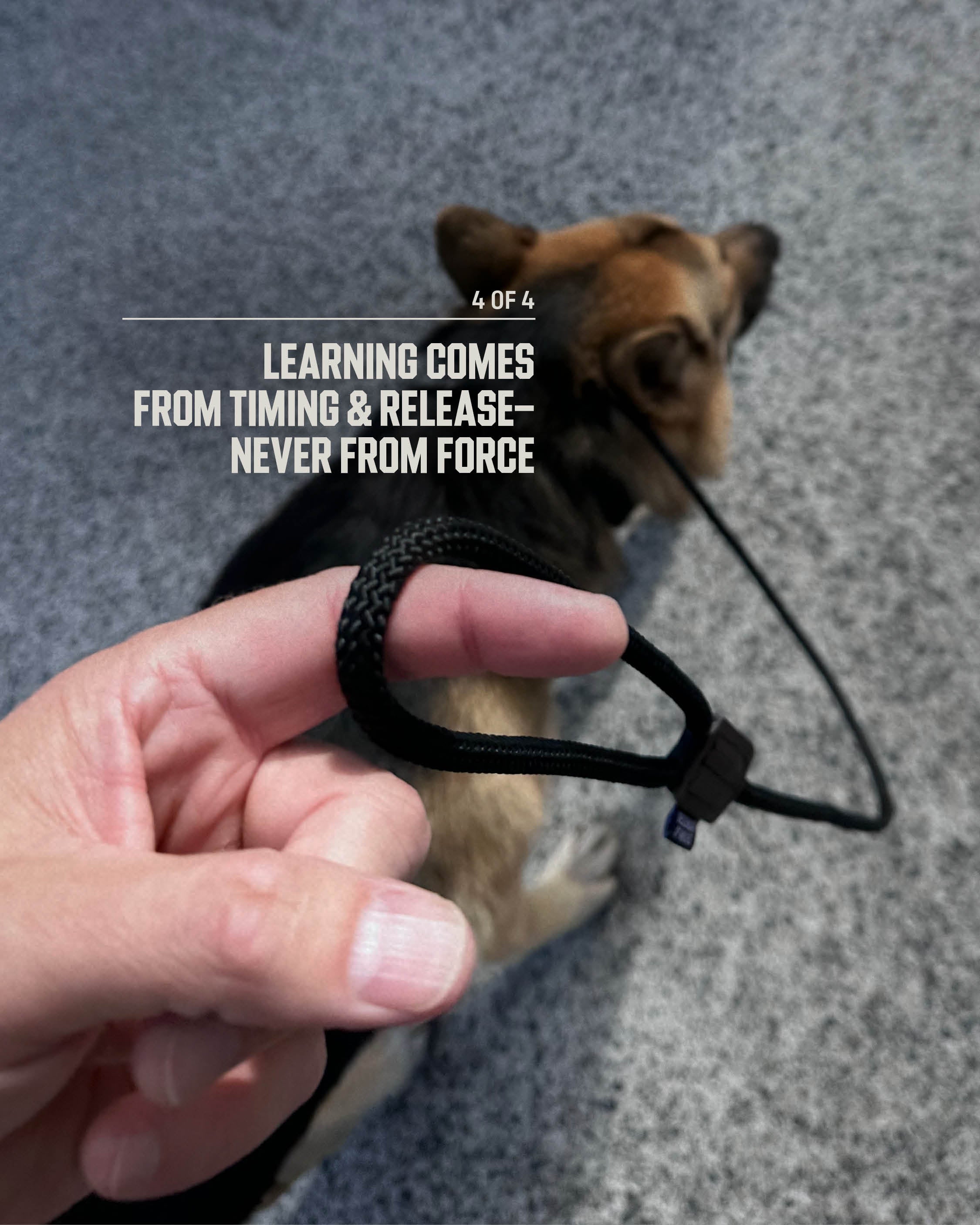 8MM Slip Lead **PRESALE**