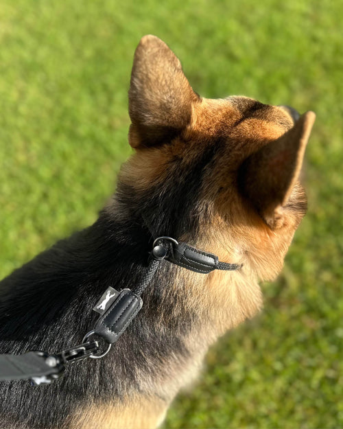 8MM Slip Collar **PRESALE**