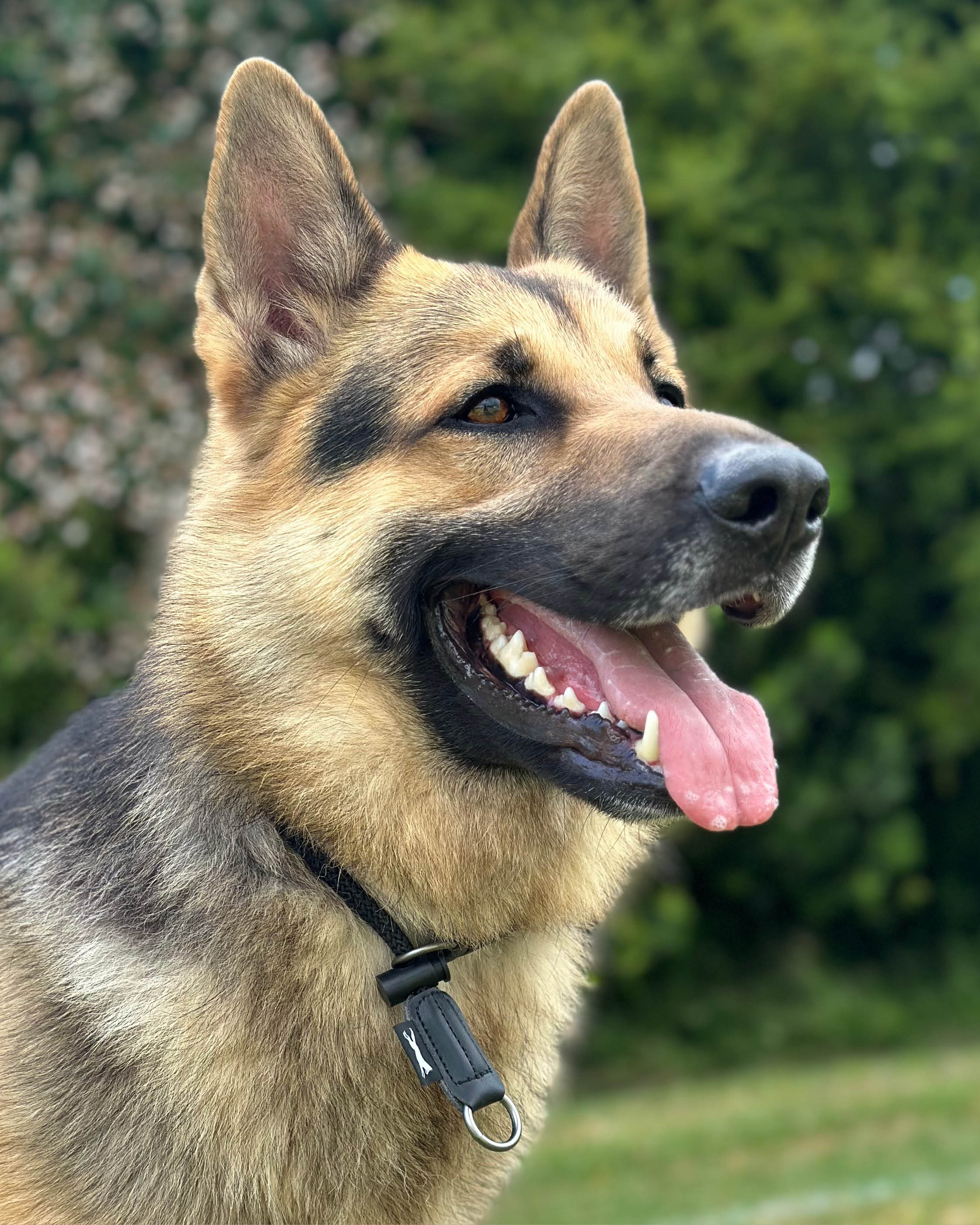 8MM Slip Collar **PRESALE**