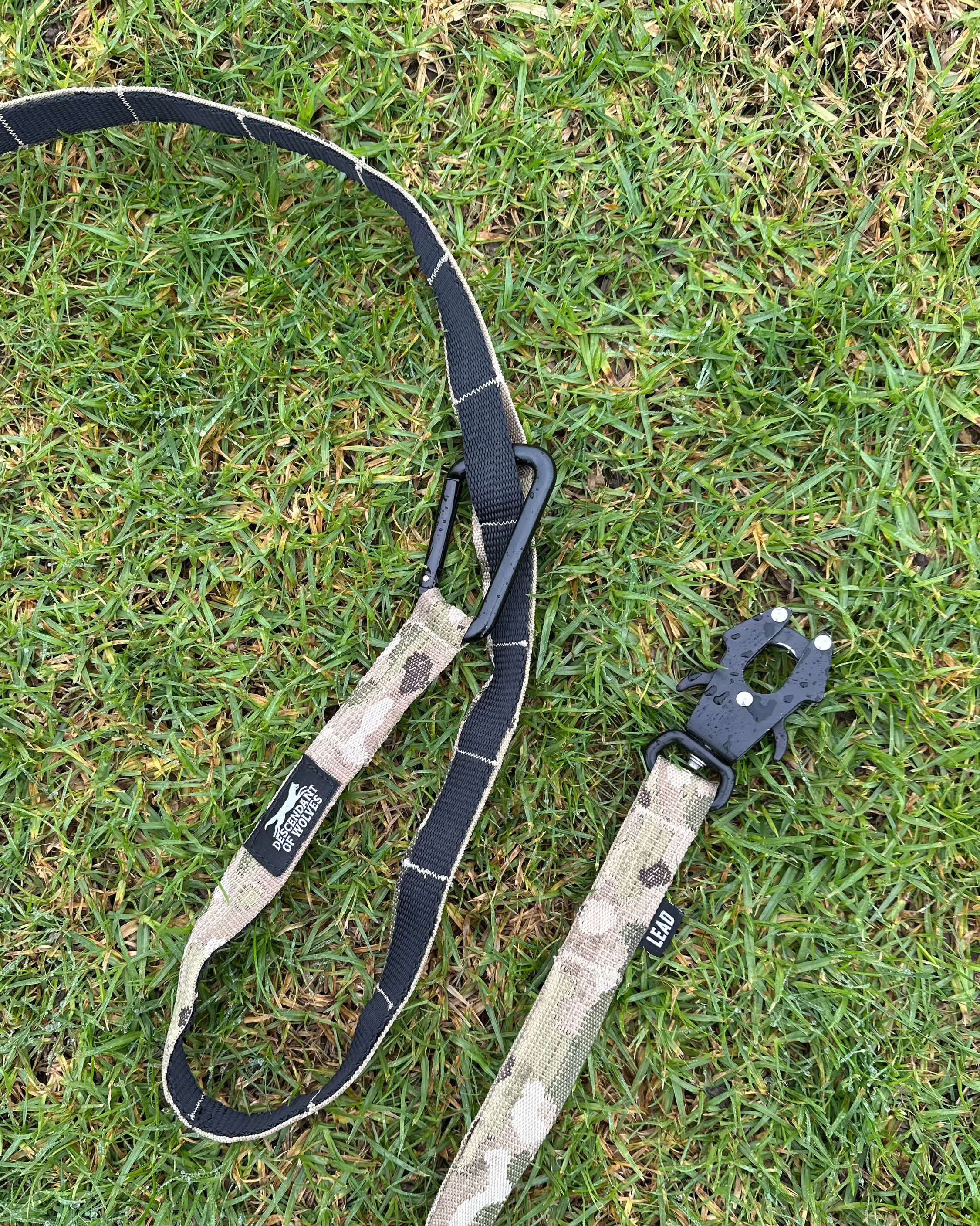 Tactical Adventure Lead