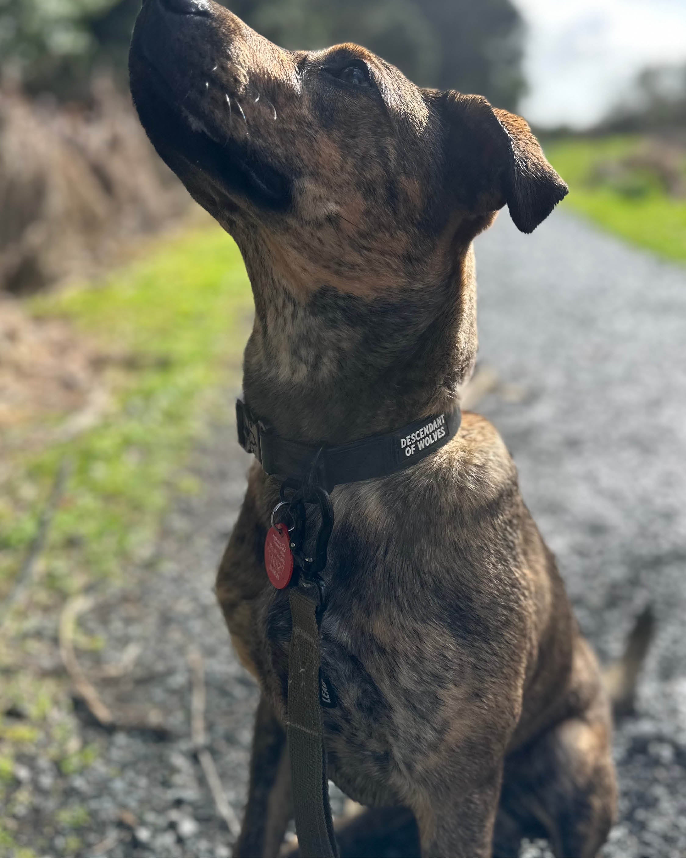 Tactical PVC 25mm Collar