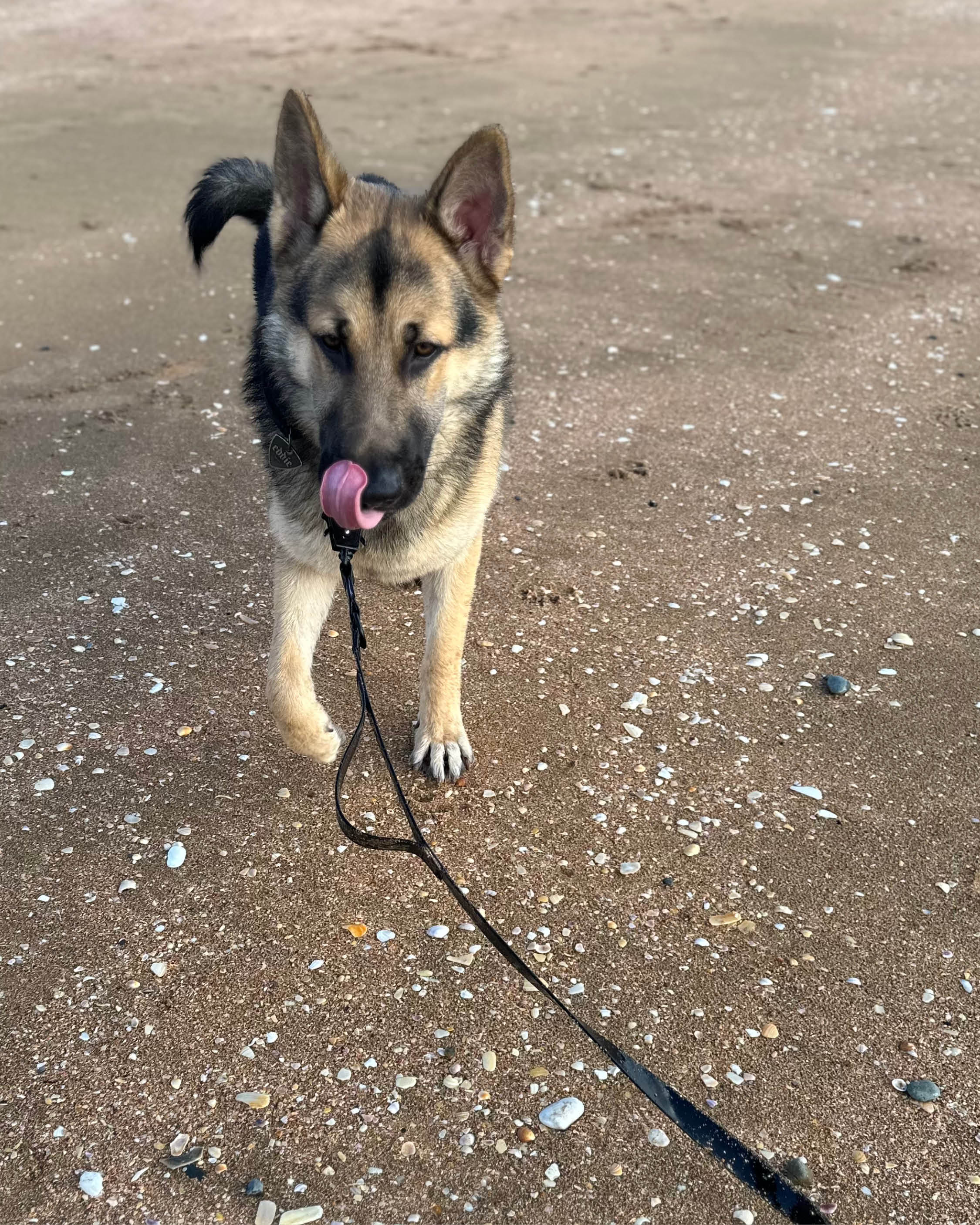 Tactical PVC Control Lead