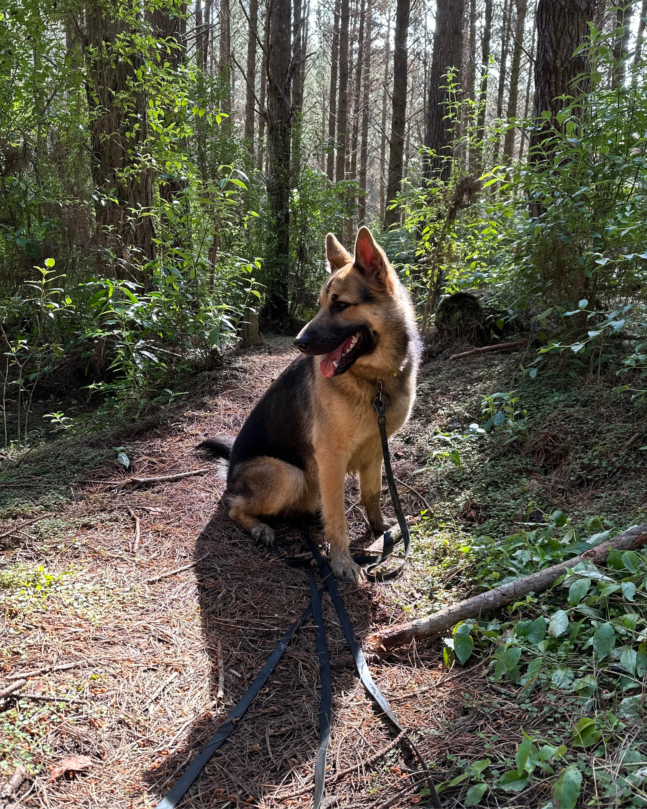 Tactical PVC Recall Long Line