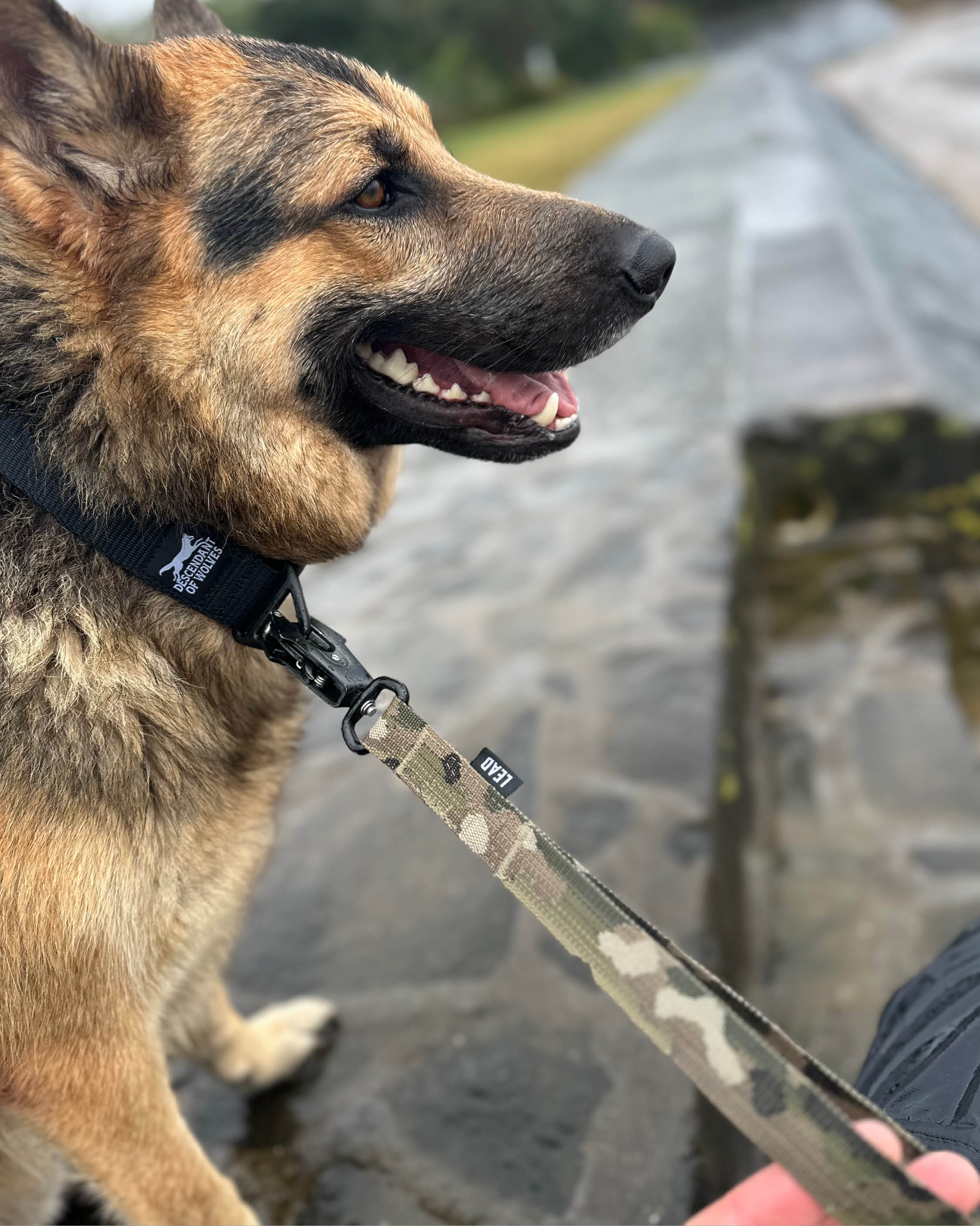 Tactical Adventure Lead