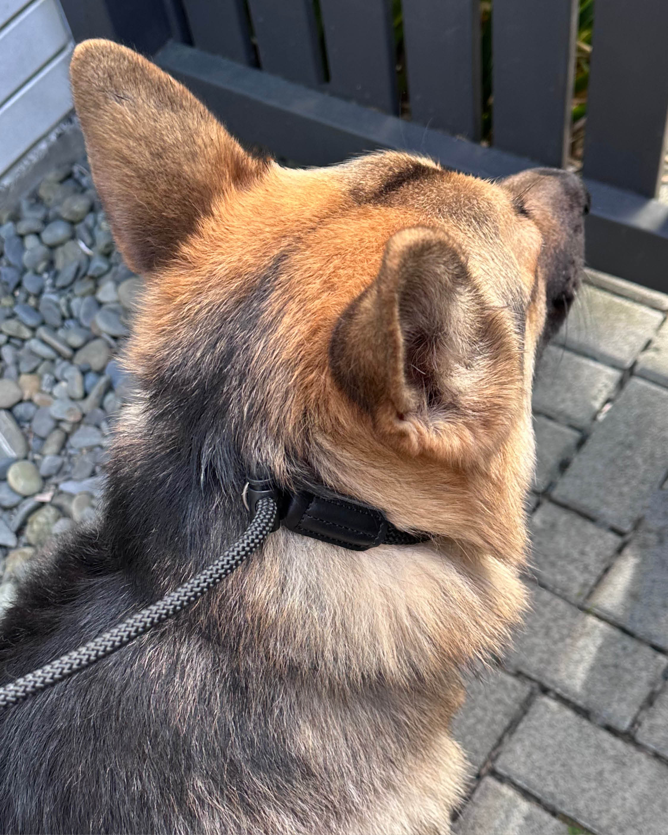 8MM Slip Lead **PRESALE**