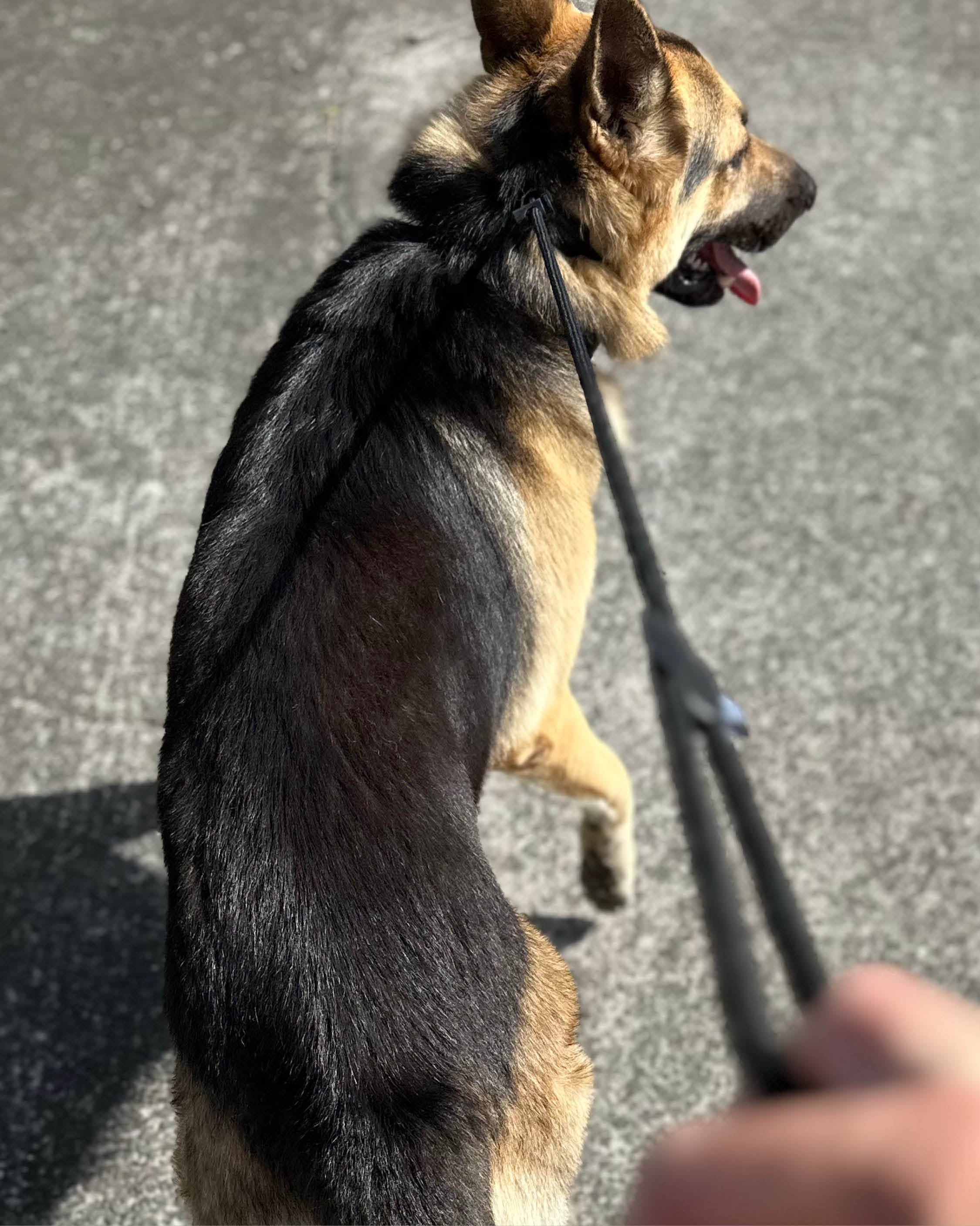 8MM Slip Lead **PRESALE**