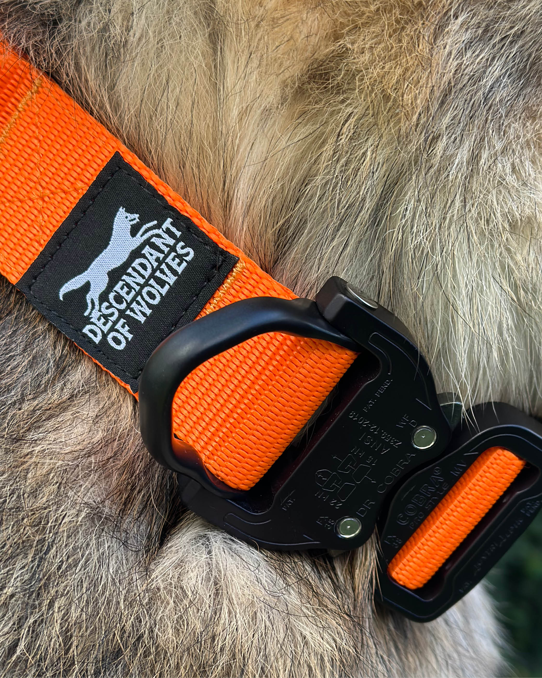 WL Tactical 'Control' 38mm Collar