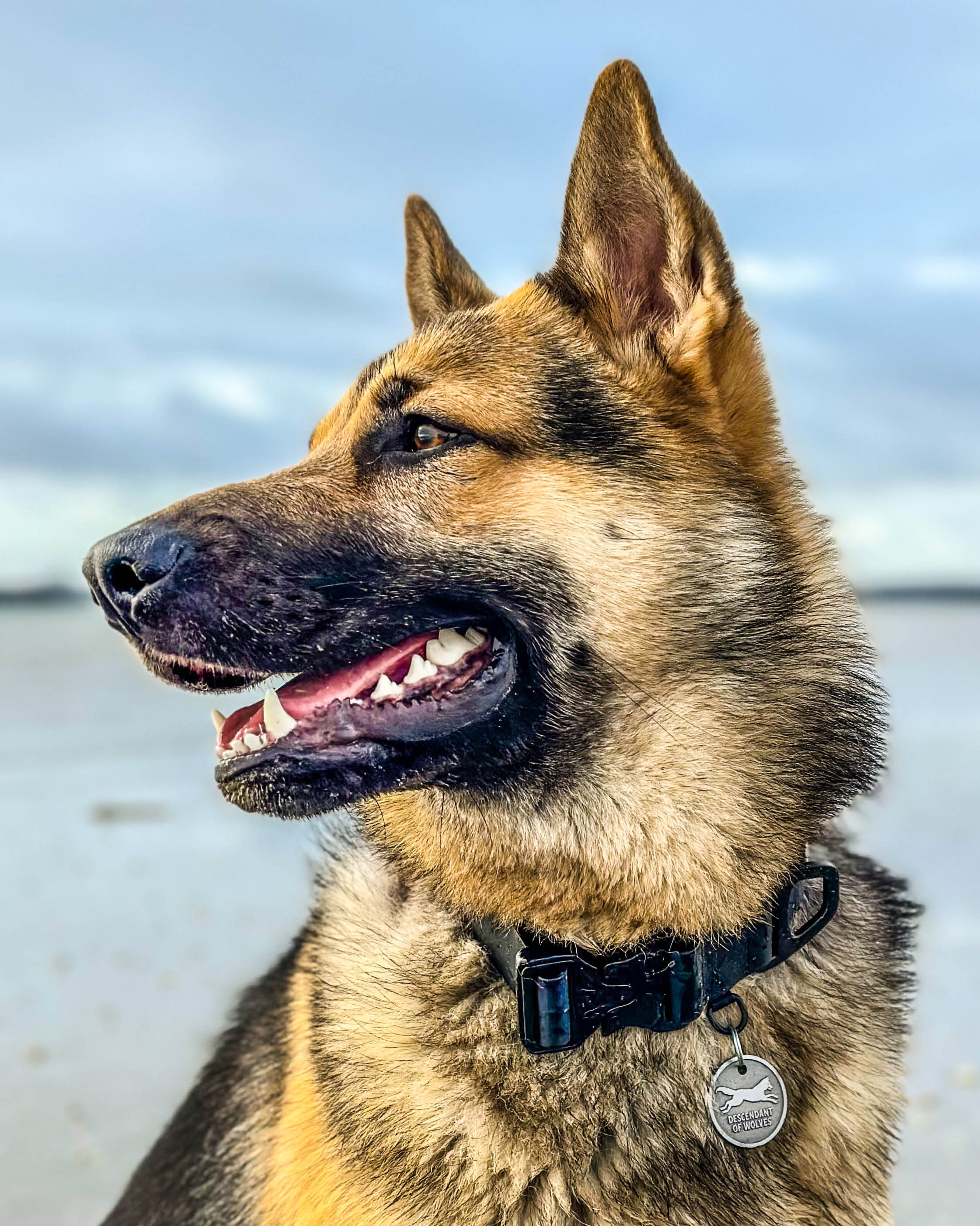 Tactical PVC 38mm Collar